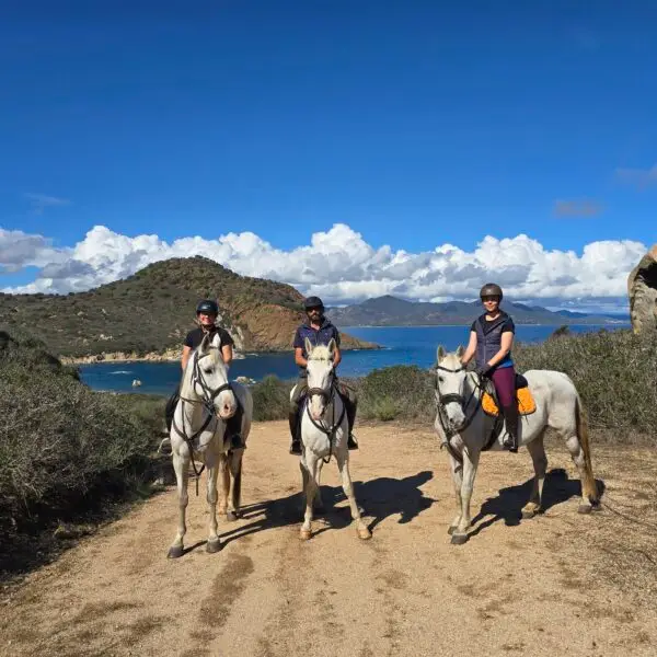 Passeggiata a cavallo Costa Rei